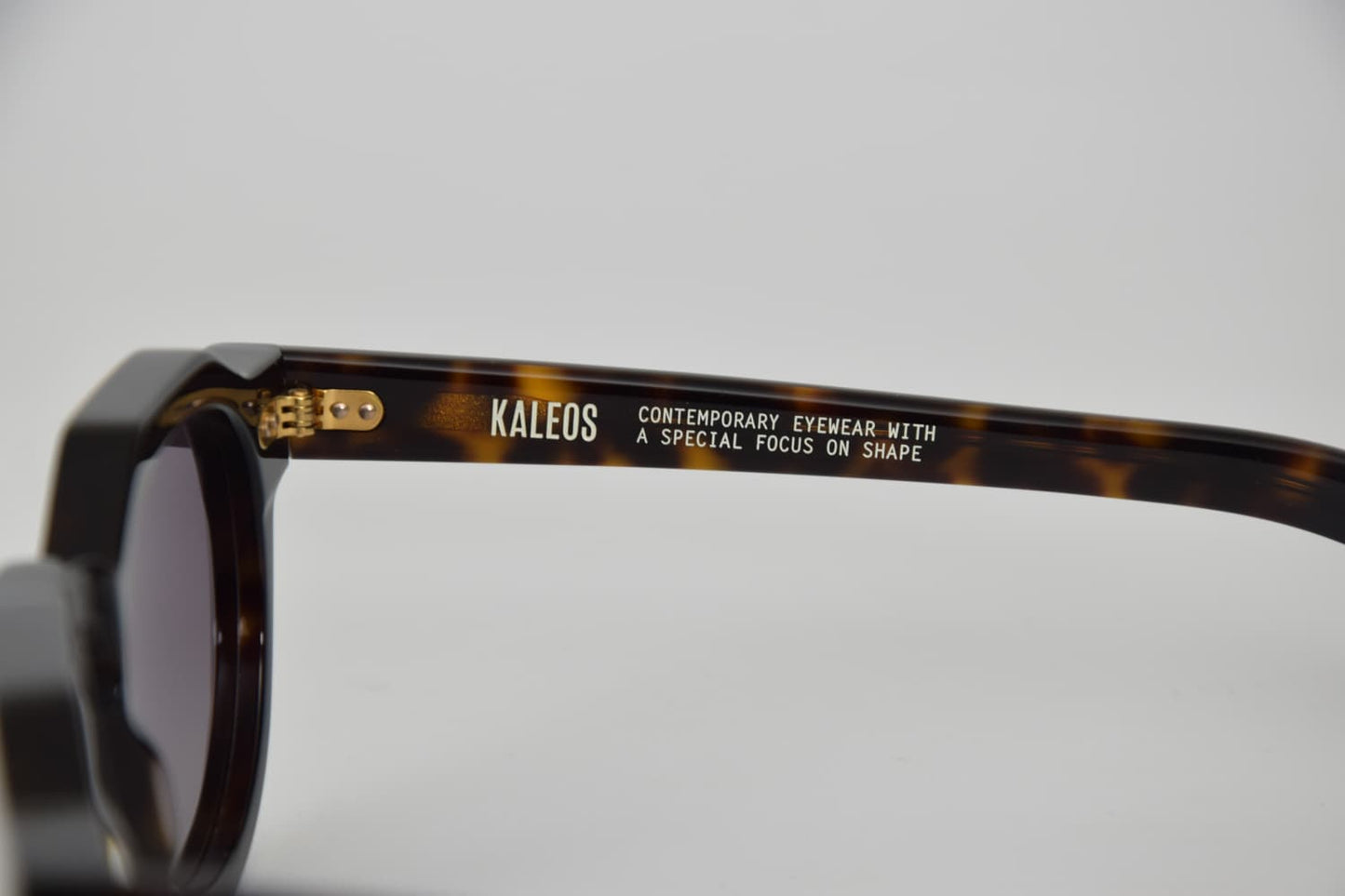 Foto asta interna Occhiali da Sole Kaleos Kafuku Tartaruga