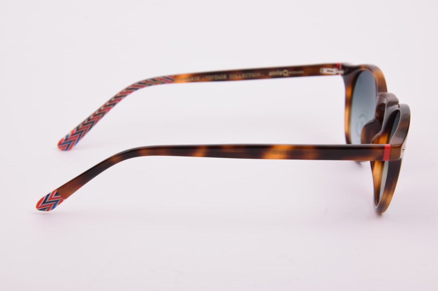 Etnia Barcelona | Mission District | HVRD Tartaruga