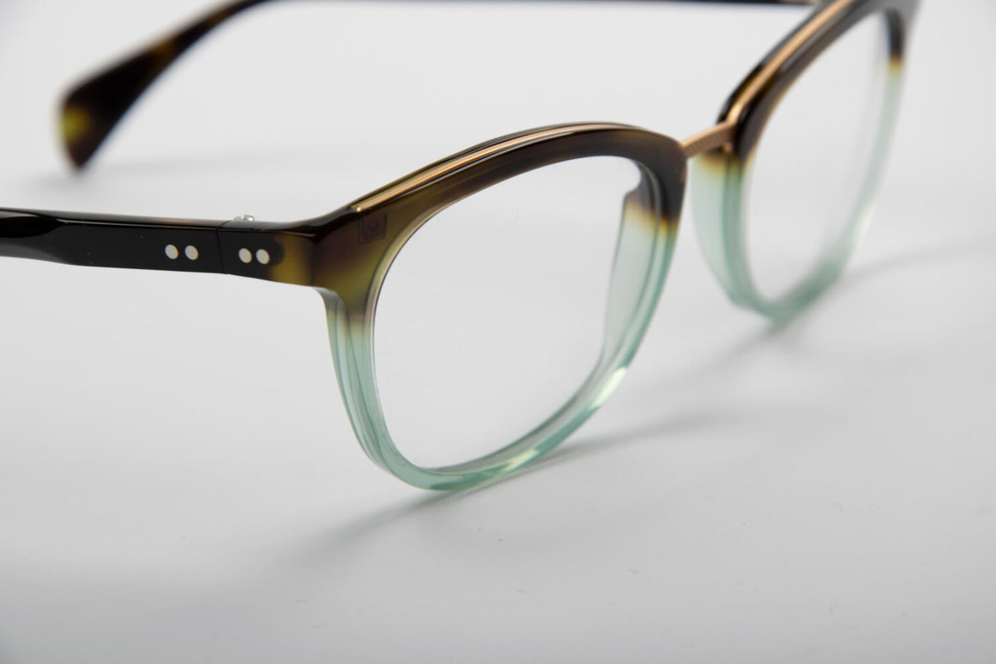 Oliver Goldsmith | Taylor | Tartaruga e Acqua - OTTICA SICOLI