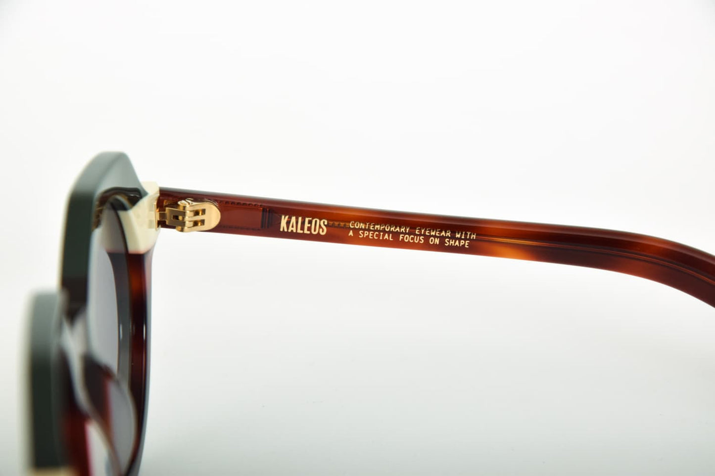 Occhiali da Sole di alta qualità: Kaleos con tempie in acetato